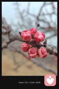 我相信。
每一份情绪都值得被倾听，
每一个故事都值得被温柔对待。我是倾听者暖阳，
我愿意用真诚和耐心，
陪你度过那些难熬的时刻。配图