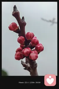 你好呀~我是倾听师暖阳，一个愿意安静倾听你心事的陌生人。配图
