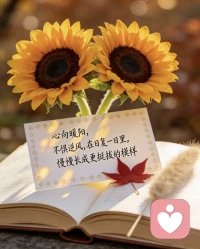 早上好，倾听倾师在线，语音电话直接来，我在这里，不是为了修正你
而是为了，陪你看见自己本就完整。💗💗💗配图