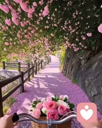 人这一生，遇到的每一个人，
出场的顺序真的太重要了，
如果换一个时间就会有不一样的结局。在对的时间遇上对的人，是一种缘分；在对的时间遇上错的人，是一种不幸。人们都向往爱情，但有时候不得不承认，爱而不得才是人生常态。
当你遇见一个你爱的又爱你的人，
不要吝啬自己的爱意，要大声告诉对方，你的爱是多么的轰轰烈烈。配图