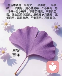 🌸灵魂是朵难养的花，无论年岁几何。若心有缺憾，请重新养自己一遍。配图