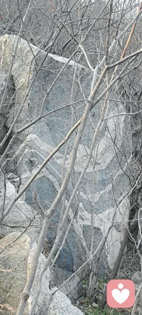 用心倾听，用心陪伴，用心理解，我愿做你的树洞，直接电话找我🌹🌹配图