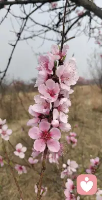 有任何问题可以来找我倾诉，我会耐心陪伴你，我就是你值得依托的朋友！配图