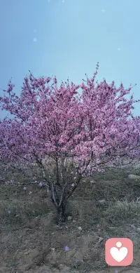 心情纠结？一休一休睡不着？总想着这件事？不知道方向？来这里直接电话找我吧！