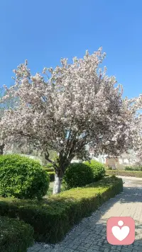 倾听师新的一天开启，希望能给你带来意外的收获和帮助❤️❤️