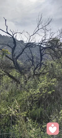 ✨
愿你往前走、向前看，
相信一站有一站的风景，
一年有一年的惊喜。
生活从来都不是赶路，而是感受路。不必纠结过去的遗憾，也不用焦虑未来的未知，踏踏实实走好每一步，那些属于你的风景和惊喜，总会在不经意间出现～💛配图