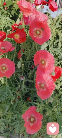 怎么简单怎么活，是你想要的吗？来找我聊聊吧！