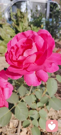 今天心情特别好，给力平台给你希望，来给力找我聊天真开森💓💓