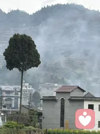 人这一生，总得有点无关功利、只取悦自己的事，用来安放情绪、安顿心灵。

不必多伟大，不必多有用——
可以是写字、画画、养花、听歌、散步、发呆。
只要这件事能让你暂时放下疲惫，回到自己，就是最好的救赎。

心里有热爱，眼里才有光，日子才不慌。
愿你一直有爱好相伴，灵魂永远有处可栖。✨