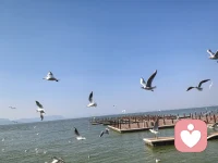 那班带走你的飞机，也带走了我的四季。

那班带走你的飞机，也带走了我的四季
你的离开悄无声息，我痛到无法呼吸
你的离开悄无声息，然后让我静静的痛，我知道你现在飞机起飞了，我痛的痛到无法呼吸。
手机屏幕亮着，是你两小时前发来的消息：“我走了，照顾好自己。” 没有标点，没有情绪，像一句轻飘飘的叮嘱，却字字砸在我心上，砸得我五脏六腑都在颤。
我瘫坐在地板上，盯着窗外灰蒙蒙的天，脑子里全是你拖着行李箱出门的背影。
你没有回头，没有拥抱，甚至没有一句像样的告别。
明明是那么相爱的两个人啊。
是会在寒冬深夜，牵着我的手，漫步在公园里讲故事给我听的人；是会在吵架后，红着眼眶给对方煮一碗热粥的人；是会在无数个清晨，顶着乱糟糟的头发，笑着说“早安，我的宝贝”的人。
我们曾在春城的长廊椅子上，看着天上的星星，你说要和我一起攒钱，在这个城市给我一个属于我们自己的家。
我们曾在暴雨里狂奔，你把伞全撑在我头顶，自己半边身子淋得湿透；我们曾经在深夜的马路牙子上喝酒，你抱着我说，这辈子，不要离开我。
怎么就走到了这一步？
你说你要去远方，去追逐那个我们聊过无数次的梦想。你说你舍不得，可你更怕耽误我。你说等你站稳脚跟，就回来娶我。
这些话，我都信。
可我不信，你转身的时候，眼里没有泪光；我不信，你关上家门的那一刻，心里没有疼。
我不敢去送你，我怕我会哭着抱住你的腿，求你别走；我怕我会失态地喊出那句“我等你”，让你带着愧疚上路。
我只能躲在家里，听着楼下的汽车鸣笛声，想象着你一步步走向机场的样子。
想象着你过安检时，会不会下意识地摸一下口袋，想起我们一起买的那个情侣钥匙扣；
想象着你坐在候机厅里，会不会点开我们的合照，红了眼眶。
现在，你应该已经登机了吧。
飞机划过云层，奔向那个没有我的远方。
而我，被留在这座空荡荡的城市里，守着那些破碎的回忆，痛到无法呼吸。
胸腔里像是堵了一团棉花，闷得我喘不过气。
我想喊，想叫，想放声大哭，却发现喉咙里像被什么东西堵住了，发不出一点声音。
眼泪像断了线的珠子，砸在地板上，晕开一小片水渍。我蜷缩着身子，抱着自己，像个迷路的孩子。
明明是相爱的人啊，怎么就只能隔着千山万水，遥遥相望了呢？
我知道，你有你的苦衷，我有我的无奈。
我们都没有错，错的是时间，是距离，是那些身不由己的现实。
可我还是好痛啊。配图