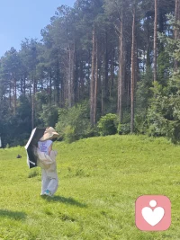 在喧嚣纷扰的世界里，每个人都可能被情绪的潮水淹没。我愿做那座宁静的灯塔，静静伫立，为你照亮心灵的港湾。无论你是被生活的压力压弯了脊梁，还是在情感的迷宫中迷失方向，都可以来到我这里倾诉。我会用专注的倾听，为你拂去心灵的尘埃，陪你在黑暗中寻找希望的微光，让温暖与力量重新回到你的身旁。配图