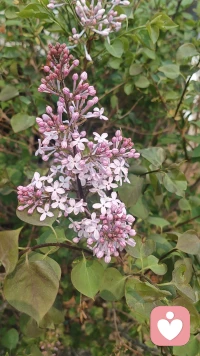 你的声音，值得被听见。你的故事，值得被看见。🍎配图