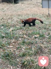 不管你在天岩海角，只要你需要我一直在给力心理等你，有任何心事 感情烦恼 生活中的不如意都可以来向我倾诉，我始终是你忠实的倾听者配图
