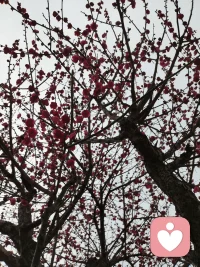 2. 情绪没有对错，难过不必硬扛。你可以脆弱，可以崩溃，可以语无伦次。我只是安静地听，稳稳地接。配图