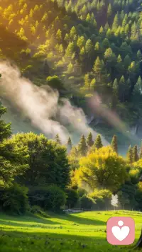 每一个行业中的先行者都可以被后来者成为前辈，配图