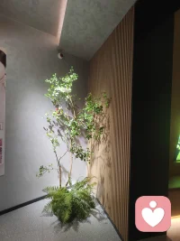 幸福没有标准，有时候，一个人静静的看看喜欢的花花草草也是幸福的一刻😍配图