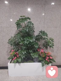 不问前路有多难走，不问谁能陪我到最后，一声呐喊穿透所有，这一腔热血只为坚守