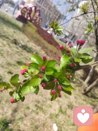 活在别人的嘴里，那是别人的修行，活在自己的心里，那才是自己的修行，好好做自己吧