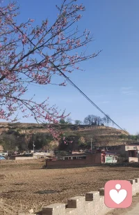 中年以后最好的状态，就是销声匿迹，半隐半藏，除了赚钱和日常生活以外，不需要太多的社交和喧闹，就象杨绛先生说的：“终不是那八面玲珑的人，讨不了那四海八荒的喜。只落得围一炉寂静的烟火，与独处相安，与万事言合。止语、止念、止心，是修行，是通透，是归途”