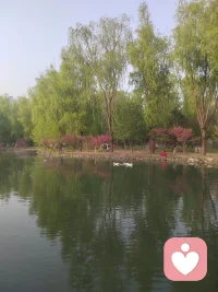 今日立夏，希望这个夏天，能放“夏”烦恼，卸“夏”疲惫，烦恼少一点，快乐多一点，好消息多一点，再多赚点💰。配图