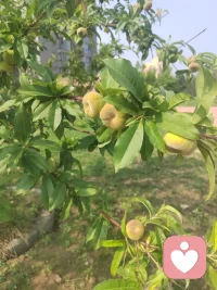 人到半生终于明白，生活不必事事追求完美。允许自己偶尔疲惫，接受世事的不圆满。日子是细水长流，不是一时的锋芒毕露。稳住心态，好好生活，慢一点没关系，平安健康就是此生最好的答案。