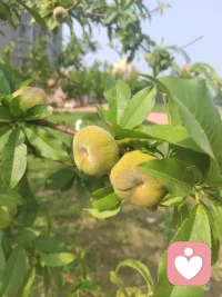 成年人的世界，一边崩溃一边自愈。我们都在平凡的日子里咬牙坚持，看似不动声色，实则熬过无数个难眠的夜晚。不必羡慕任何人，每个人都有自己的时区，踏实走好自己的路，时间终会善待所有努力的人。