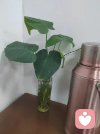 人和人之间就是这样，我不能要求你，但是我可以改变我自己。
思想不在一个高度，尊重就好。三观不在一个层次，微笑就好。
人与人之间最好的相处方式，尊重是标配，靠谱是高配，厚道是顶配。任何一段关系里，如果你迟迟等不到想要的态度与回应，感受不到该有的重视与真心，那就及时收回你的善意和付出。这是知趣，也是及时止损。