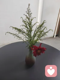 很多事情，不放在心上就是赢了👍👍👍👍