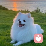 DO倾听的头像