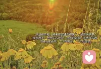 当你放下了成见和伪装，不再牵挂，焦虑和需求，你的心才算真正被打开。
不要让自己沉浸在焦躁，易怒，悲伤等等的痛苦情绪里，你需要记得除了生死，其他都不过是擦伤罢了。
心若向阳，无所悲伤。