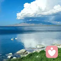 “人不是被事情本身所困扰，而是被其对事情的看法所困扰。