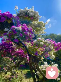 生命中最美的样子，
不是被别人认可和喜欢，
而是懂得自我欣赏，终身成长 、笑看得失，
取悦自己，爱自己才是终身浪漫的开始
哪有什么标准答案，花有一万种开法
悦己者，自成山海配图