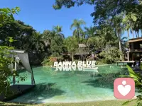 🌈🌈春天到了，花都开了，有人是玫瑰，有人是蒲公英玫瑰，不必羡慕蒲公英能飞，也不必羡慕玫瑰有人捧，你开成自己的那一朵就好 。配图