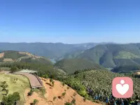 停止精神内耗
停止过于在意别人的看法
停止追求完美
停止过度思考
停止自我苛责 
是人生变好的开始配图