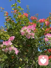 人生下半场，如果有一件事必须要做，那就是把自己重新养一遍  当你把自己养好了，会发现曾经那些求而不得，会慢慢向你奔赴而来配图