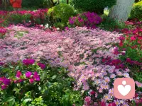 不要再跟任何人生气了，搭上了自己的健康跟快乐，倒不如慢慢放下一切，照顾好自己，照顾好孩子，没有改变的道歉都是敷衍，被提醒的细节分文不值，伸手要来的安全感毫无意义，总之，一生要好好爱自己[比心][玫瑰]配图