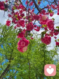 世上所有的惊喜和好运，都是你积累的人品与善良，把身体照顾好， 把喜欢的事情做好，把重要的人待好，你要的一切都在路上🌻🌻配图