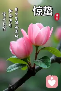 一个女人顶级的心态就是：都能理解、都能接受、都能放下，都能过去，凡事发生必有利于我配图