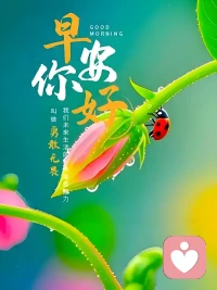 当发生的事不可控时，我们一定要学会释怀，真正的强大 不是对抗 而是允许一切发生。配图