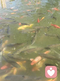 人生不过三万天，别为难自己 健康快乐就好。其次都是其次，且行，且看 且从容…如果你累了，迷茫了，没人理解，我在这里安静倾听，陪你慢慢走出情绪低谷配图