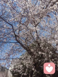 每个情绪的背后都有着一个没有被满足的需求，请不要压抑自己的情绪，说出来吧。放空自己的内心，让快乐流通…配图