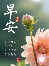 中年人最大的从容就来自于不再追问谁是不是真心对你好，允许别人变心，允许别人权衡利弊，允许你真心对待的人经过深思熟虑后不再选择你，允许付出没有回报，允许这个世界也有真诚到达不了的地方，允许一切发生，心自在安宁，中年最好的状态就是与生活温柔和解配图