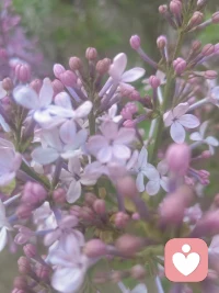 人生最好的活法其实就这两句话：
1、在自己的世界里大放异彩，把自己当回事，你的感受比道理重要。
2、在他人的世界里顺其自然，别太把自己当回事，他的课题让他自己背负就好