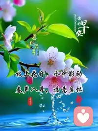 过度的较真爱操心其实是一种心理缺陷，请停止精神内耗，才能过好一生。