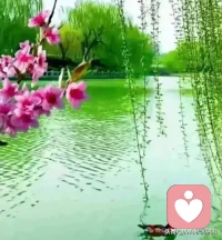 你只需要和同样珍视你的人保持联系就够了，其实我们生命中遇到的绝大部分人还没有早晨你喝的那杯白开水重要，只有那些真心爱你、给你鼓励的人才值得你动用心神。这世上绝大多数的事情靠自己的努力和争取就能换来，唯独一个有情有义的爱人和惺惺相惜的挚友要靠几分运气配图
