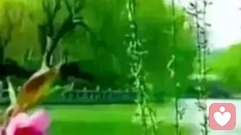 心平可愈三千疾，心静能通万事理