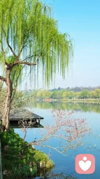 如果活着不是为了快乐，那长命百岁还有什么意义？在无法重来的人生里，请尽量快乐，凡事看开点，日子简单点，心理敞亮点，风雨由天，快乐由己，记住首先要快乐，其他的都是其次。配图