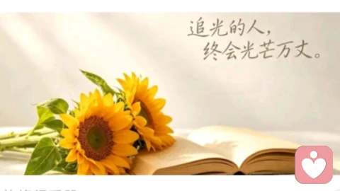 人活着不要向任何人诉苦,这世上没有不带伤的人