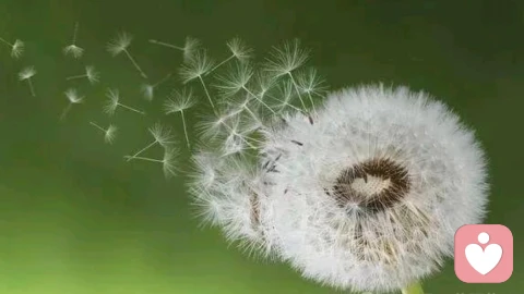 AI能够读懂你,却永远不会在乎你;能安慰你,却可能让你更孤独