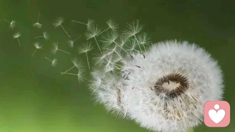 婚姻里所有的不如意,都是你潜意识允许它发生